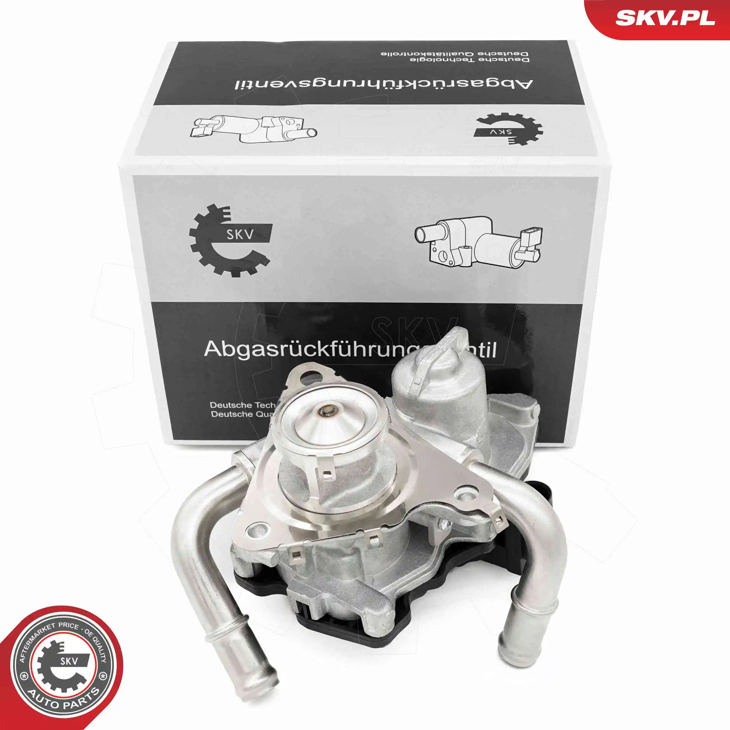 EGR Valve